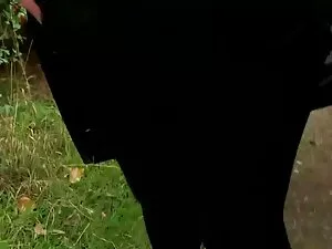 big TITTY %26 DONK m ...